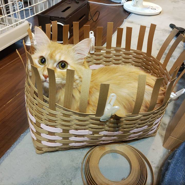 704e3a99 cc2f 497b 85ec f42d195e858c 1660398479643