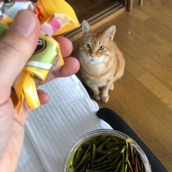 704e579c fe78 4199 b616 8cfb6de1e4fc 1583789817539