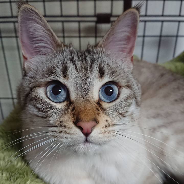 704e6e7e b5ed 4276 a349 574785093c39 1620052252494