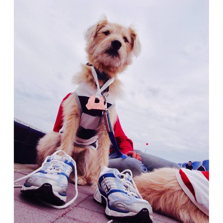 704e82bc a145 4e12 9268 920c9bc47882 1543538824395