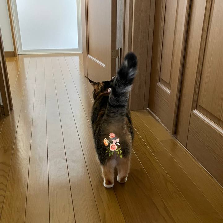 704e8848 e803 4365 b1b6 5906d17c342a 1763953529103