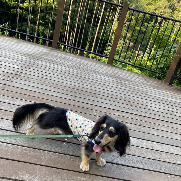 704eaaad 35cf 4ff5 a31c 057300429b8c 1753243577290