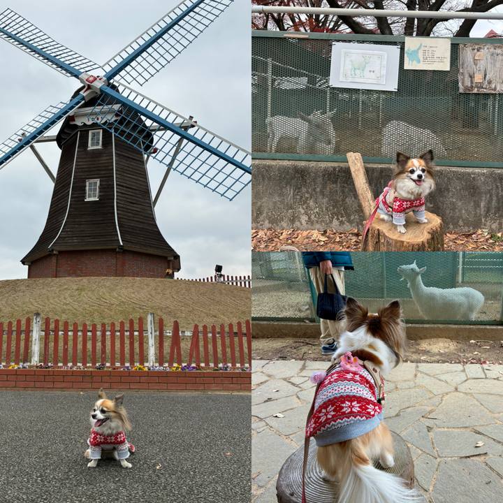 704eab76 7f00 4e6c 8578 0cac3e74901e 1764394557626