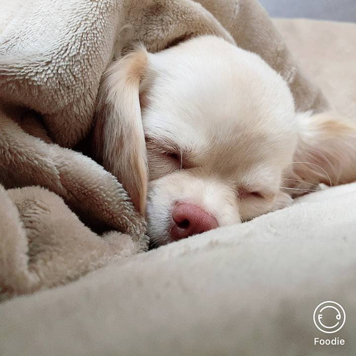 704ecb0c 6f71 4534 895c 0fe7596ea707 1608441191839