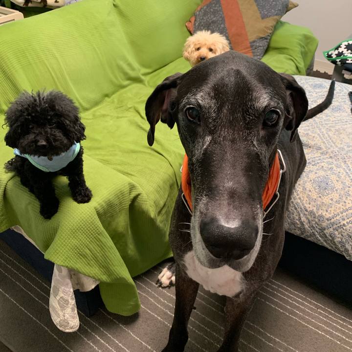 704ee57b dd1a 4b11 b058 f318442c327f 1566340384837