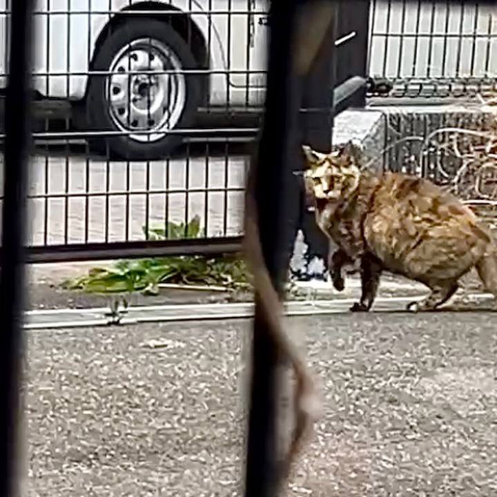 704f0879 a308 40f6 bd19 8e00035e6c25 1740622166852