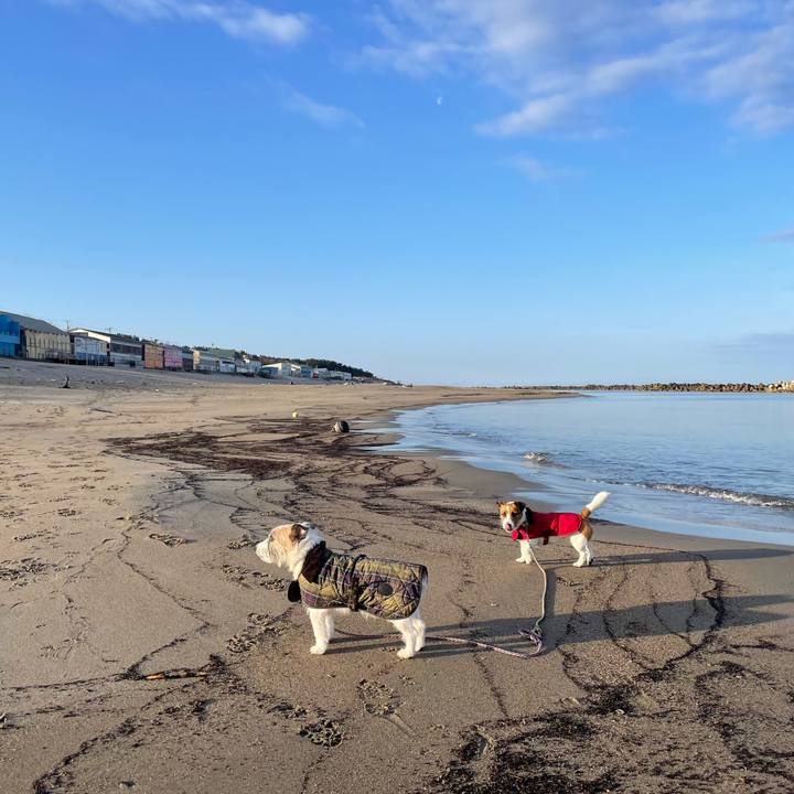 704f6f06 8015 49cf baf3 996164c173bf 1676159017848