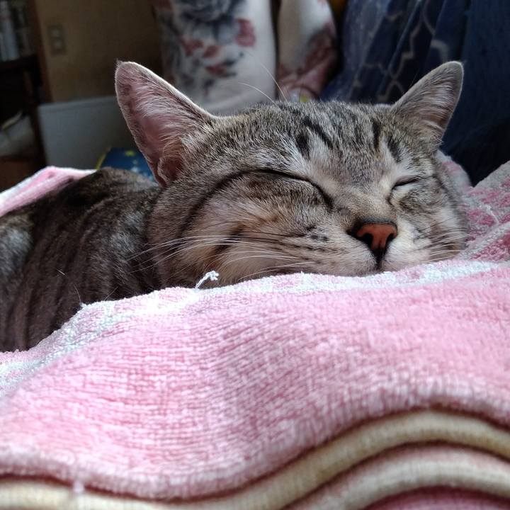 704fbe50 ecd4 4398 bfc7 fc4346da227e 1650611959568