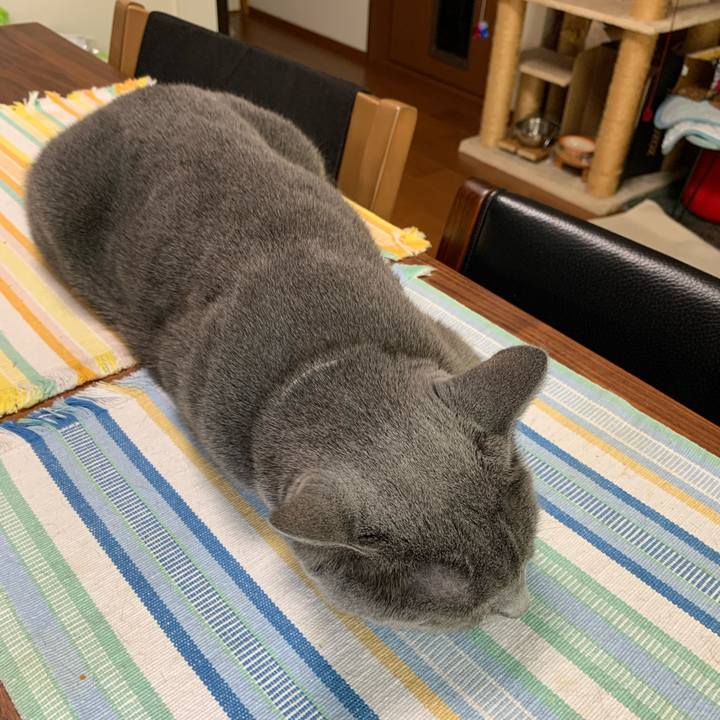 704fc934 fccc 4551 92d1 53b0e8b38b82 1628490093818