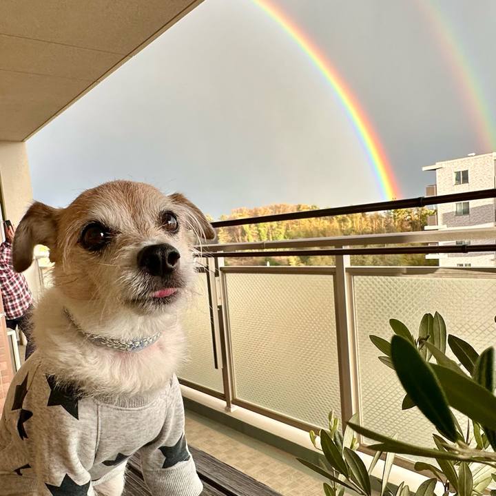 70500eef e13a 414b 91ac eb01f5085717 1710976502174