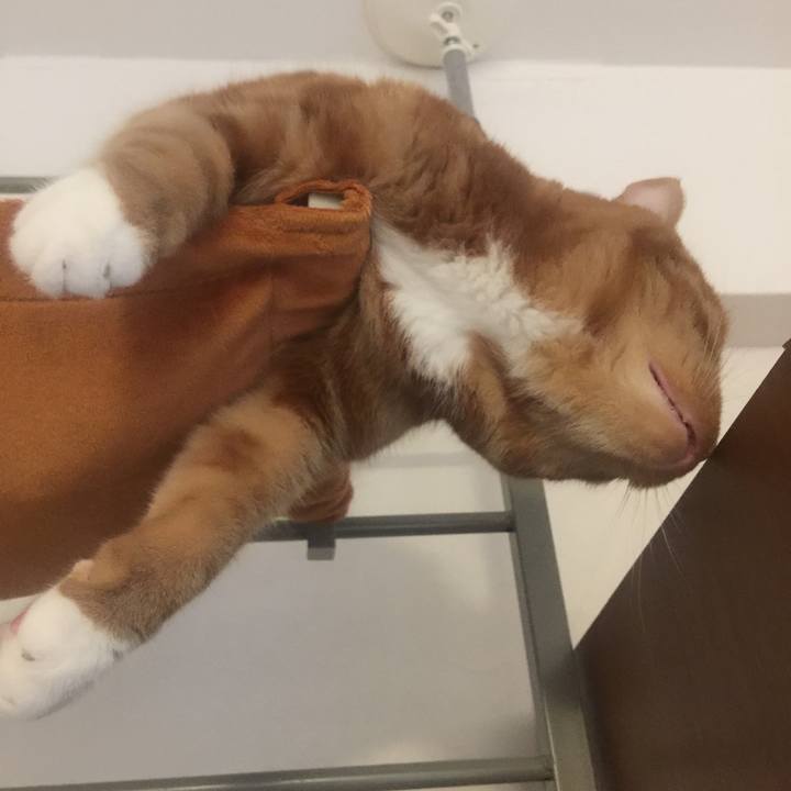 70503aad cd23 427d 9947 6bec6994db90 1530953119448