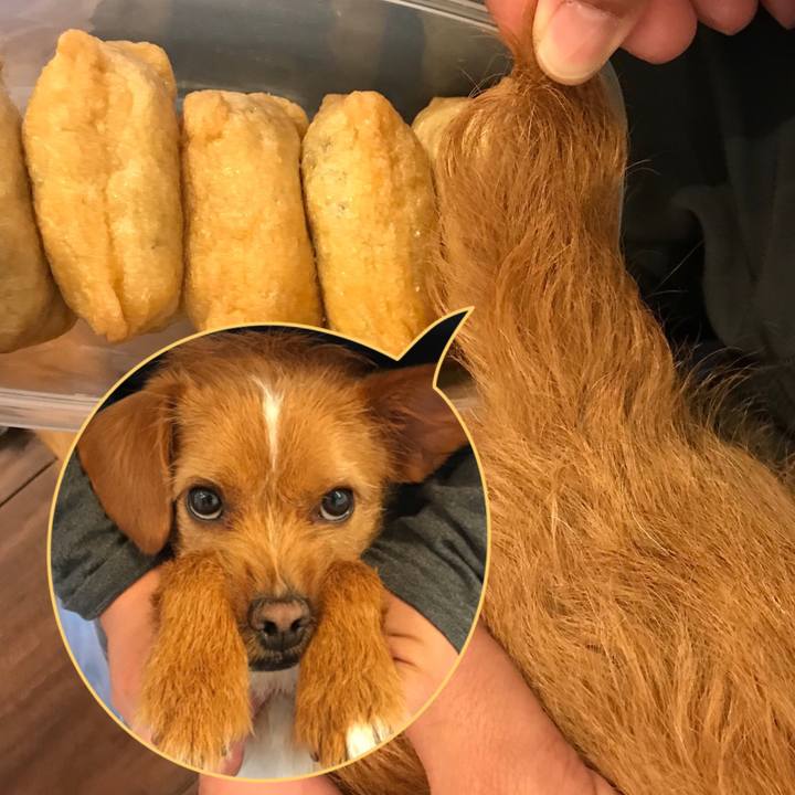 7050628a fde1 4831 b3eb 8acee29edb5e 1555037527279