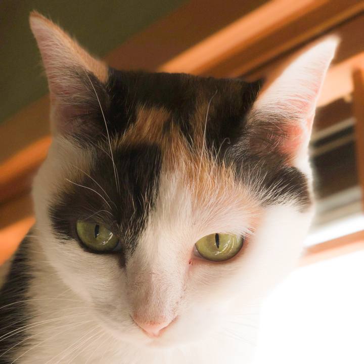 705064bc 4a46 47d6 8c8e a4d956aa6d12 1566006059841