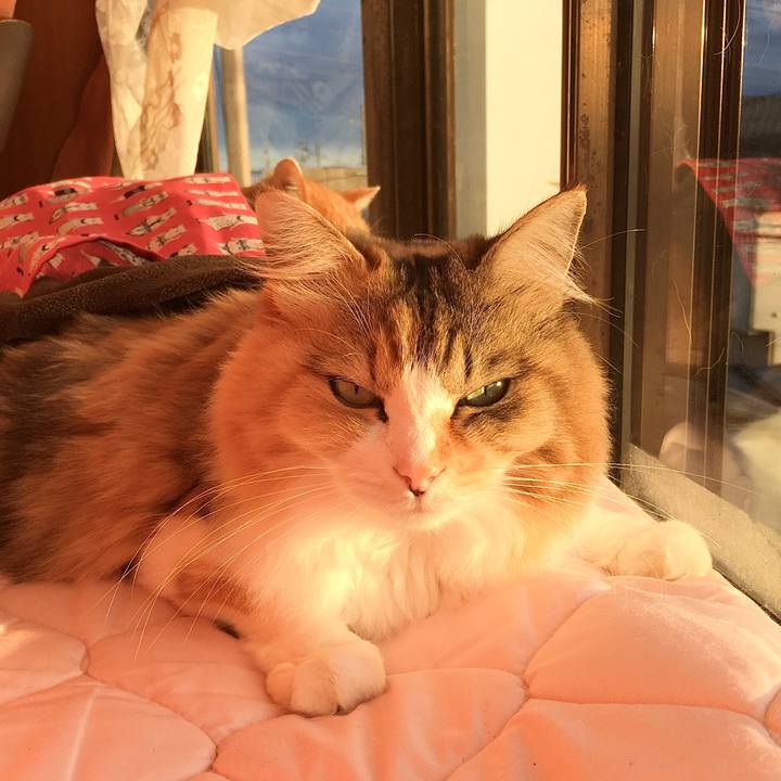 70508481 94d4 48b3 8b52 93583ba6cdd7 1578047023951