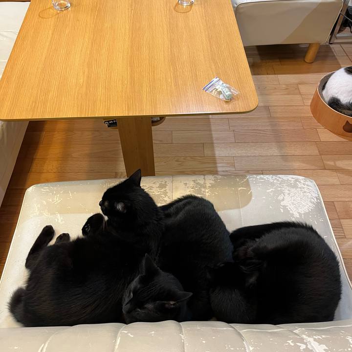 70508f22 23a2 48f3 a037 ae34ddfbbaf5 1666360682969