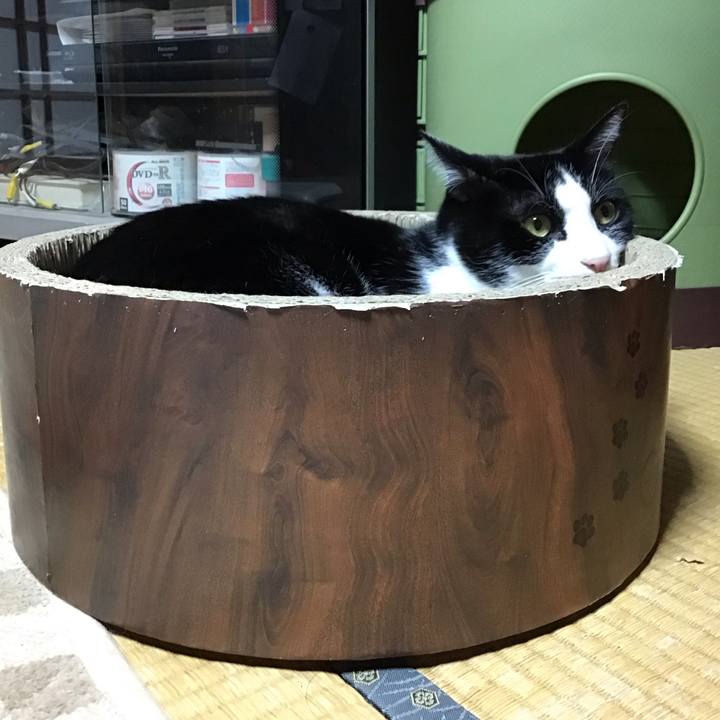 705096a3 f075 47e8 9c87 00f3431c1f4f 1731410256488