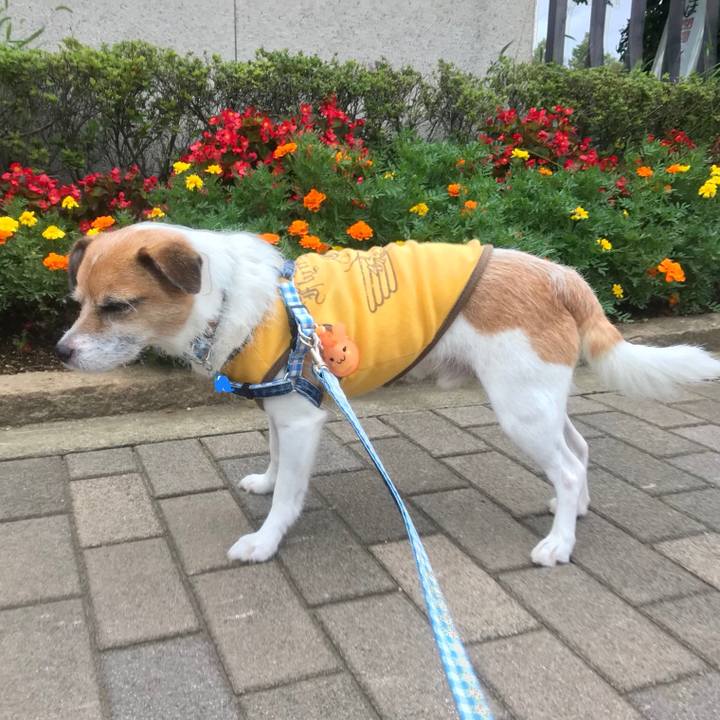 7050a05e 09f7 40a0 8946 aa5ffb4857ce 1536049910630