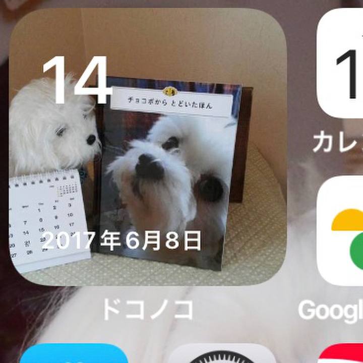 7050aad2 e537 4a1f b772 108b222f0c44 1655212461369