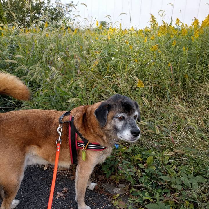 7050ad00 28a6 4889 bc67 69280a12b10d 1541029876547