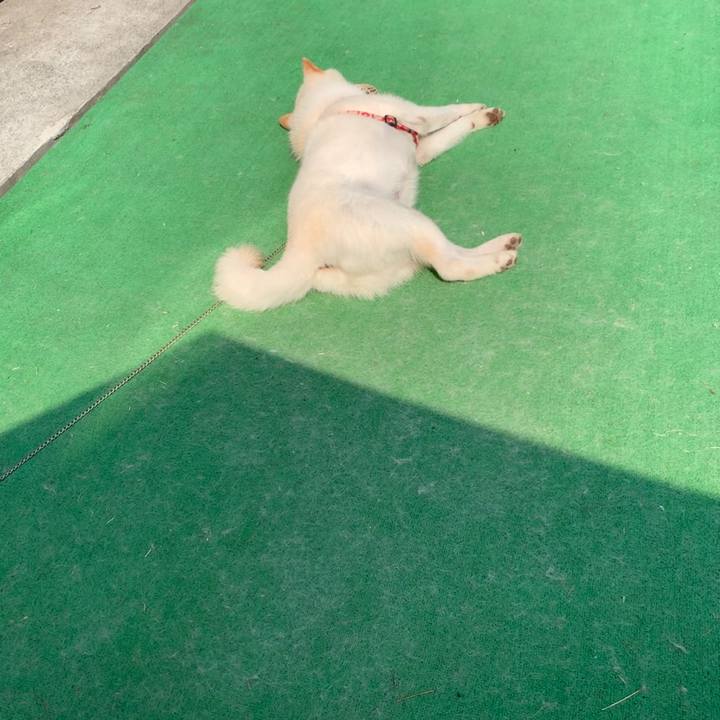 7050be2a 8ae4 4183 a728 2c56a2fb4062 1563047013633