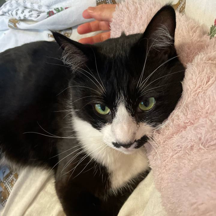 7050f1cd d748 4c16 8dce 60419843c77e 1708474734178