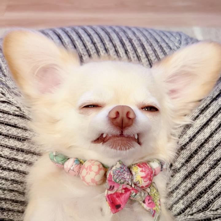 7050fc3f 9d4a 4be5 9387 9cdf27558946 1692792684208