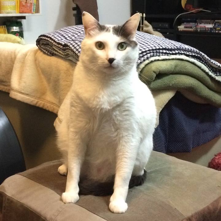 70513a7d 324a 4178 89ae 466c5f227155 1551475429931