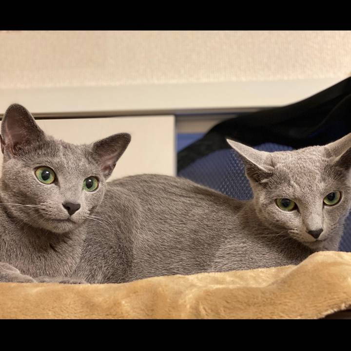 70515587 a5ed 4e70 99b5 d651a364c33a 1623591898201