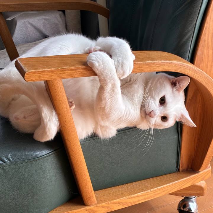 705187ee 04eb 4d85 84fe 2bbea49d136c 1774321623737