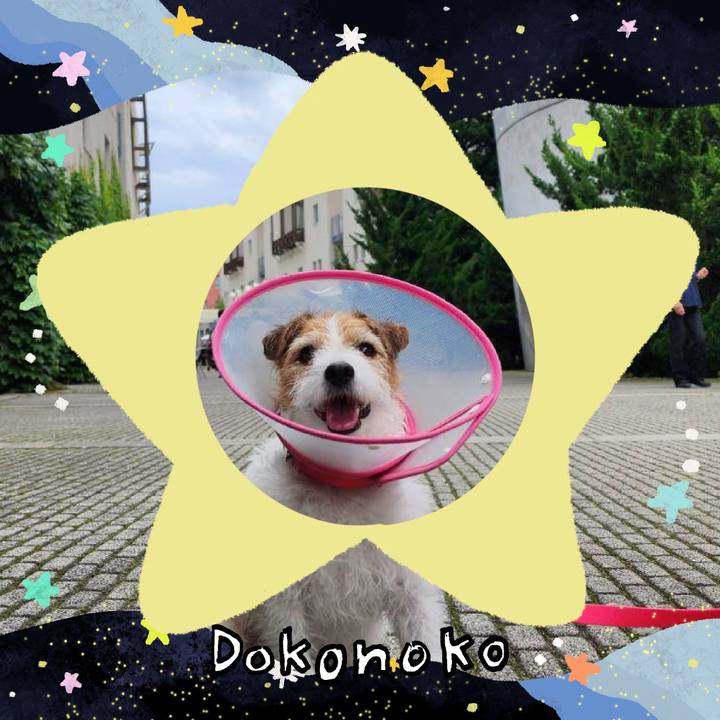 70519c80 b80d 4e56 b7bf 1c5e26b399c1 1720914818598