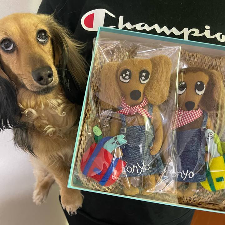 7051f1b6 585a 4421 8f33 9850b3e04c3d 1692963430906