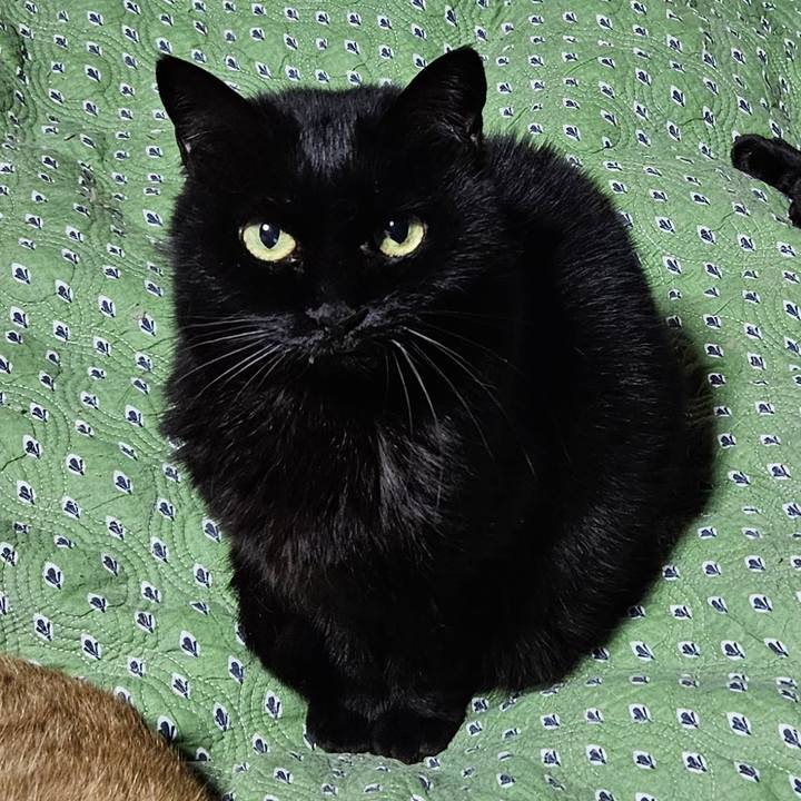 7052b476 ed27 4bb1 aa11 1c265b71ca75 1764650361150