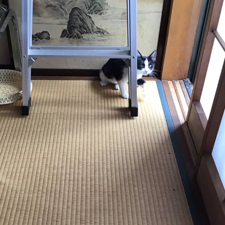 7052ddfe 4611 489e b303 02540d7b97b8 1625623986536