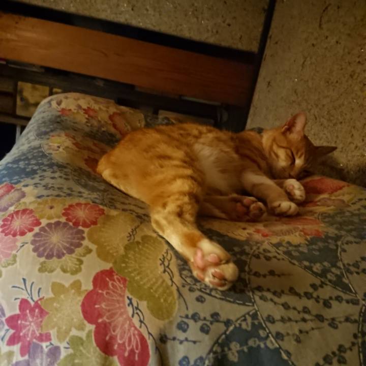 7052f417 41ab 490f 85e5 1001b03a887d 1596025459227