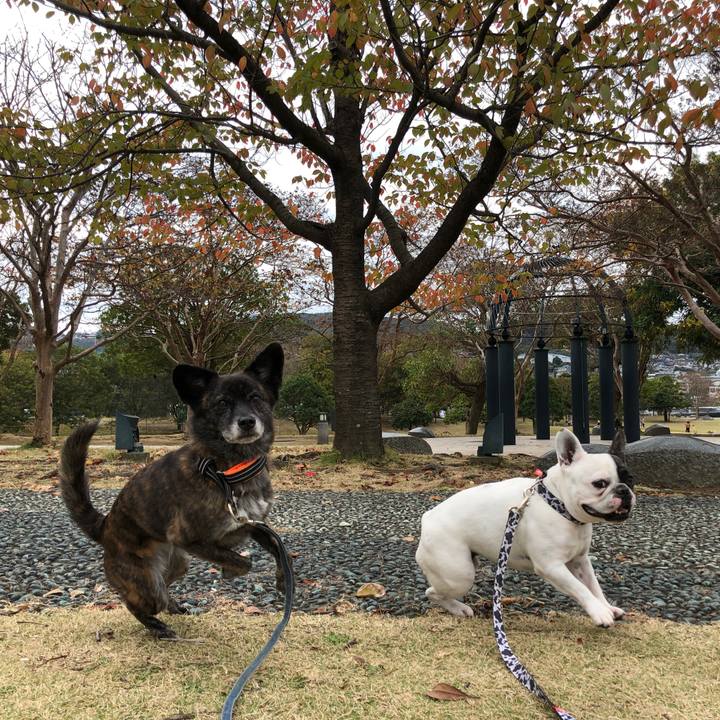 705362d1 975c 4215 b915 dd65ef5f2a7f 1575361396770