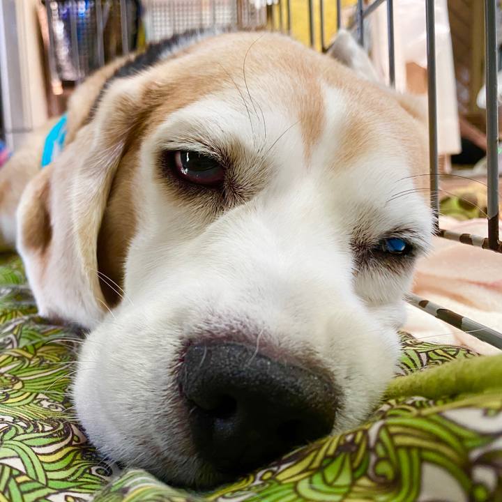 7053b680 bb80 4302 80b3 d2daeae65c30 1596340238157