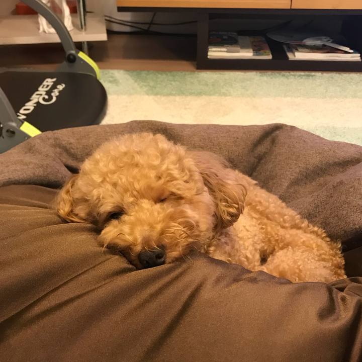 705407b3 c593 47c9 a53e 1fd612dad095 1508936025176