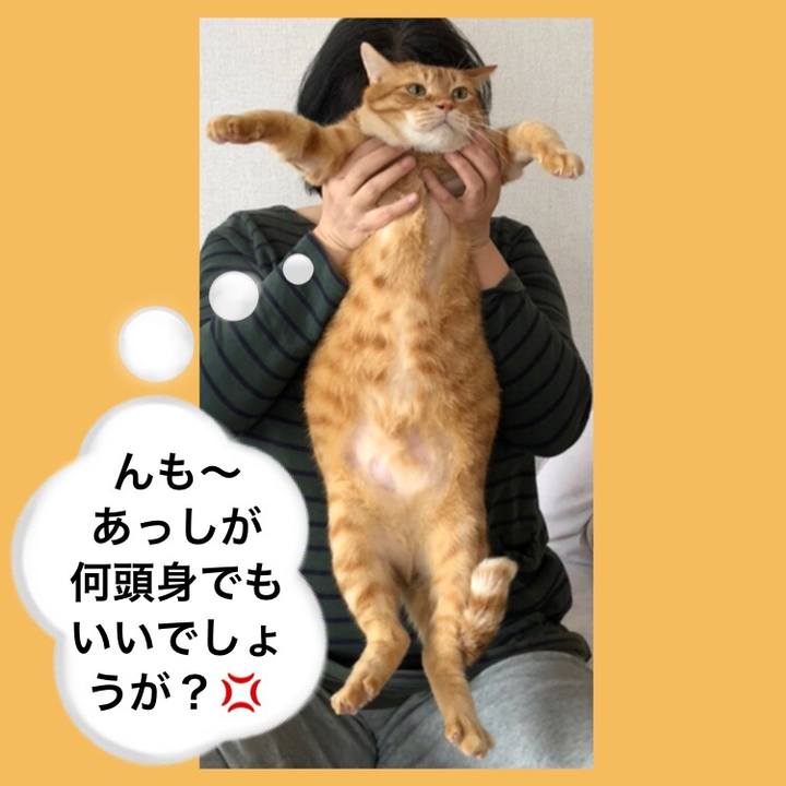 70540d20 64ff 44d2 9089 ab6ab75bd653 1612582396121