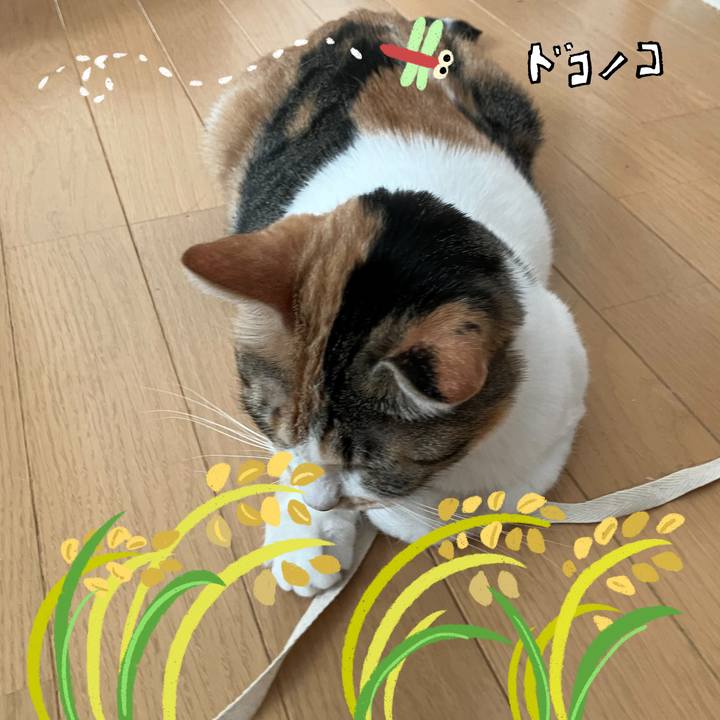 70540ec8 94b1 4bdd b93e beefc9e4688a 1761130870293