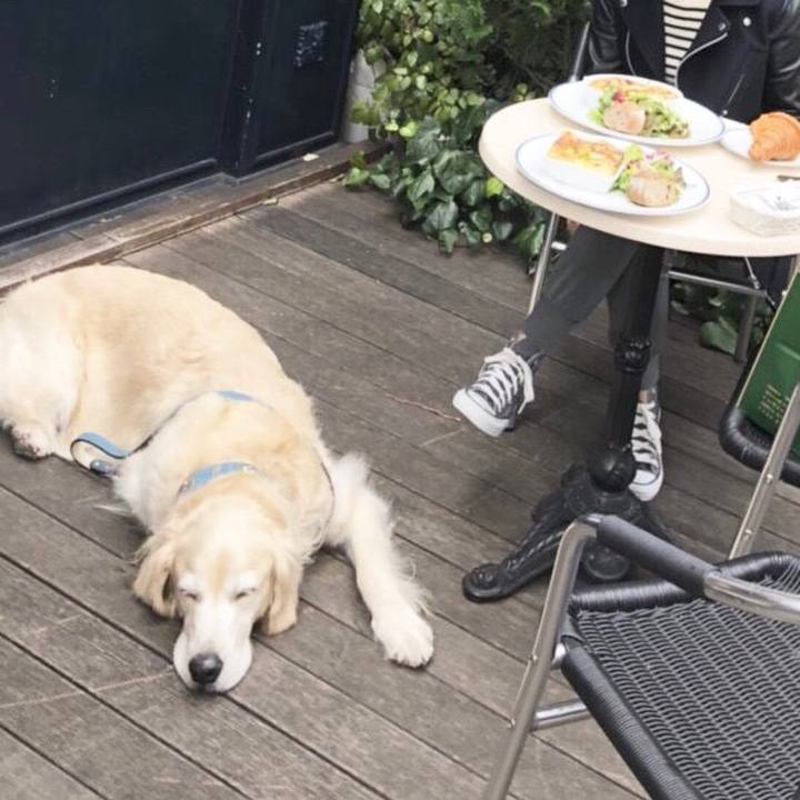 70545f14 977e 4344 970a 607265038229 1521437478978