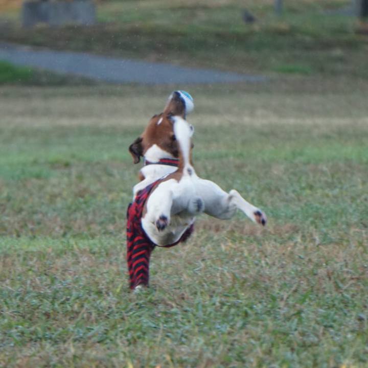 705479c1 6ff4 4d93 bf89 215ef7a24fbb 1543358913080