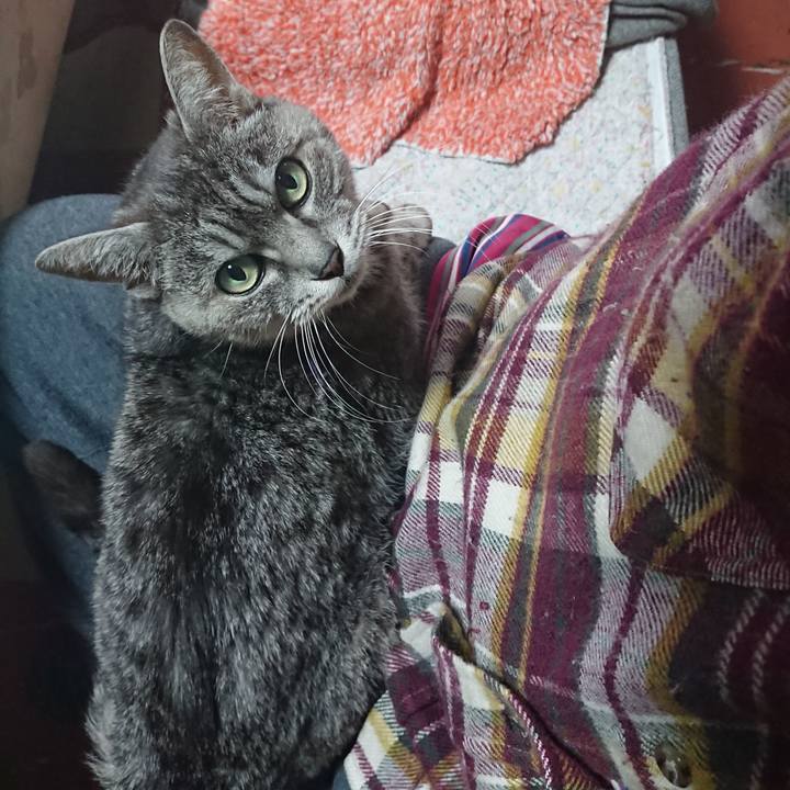 705479c2 e5a2 40be baf3 af962cb30528 1582327894305