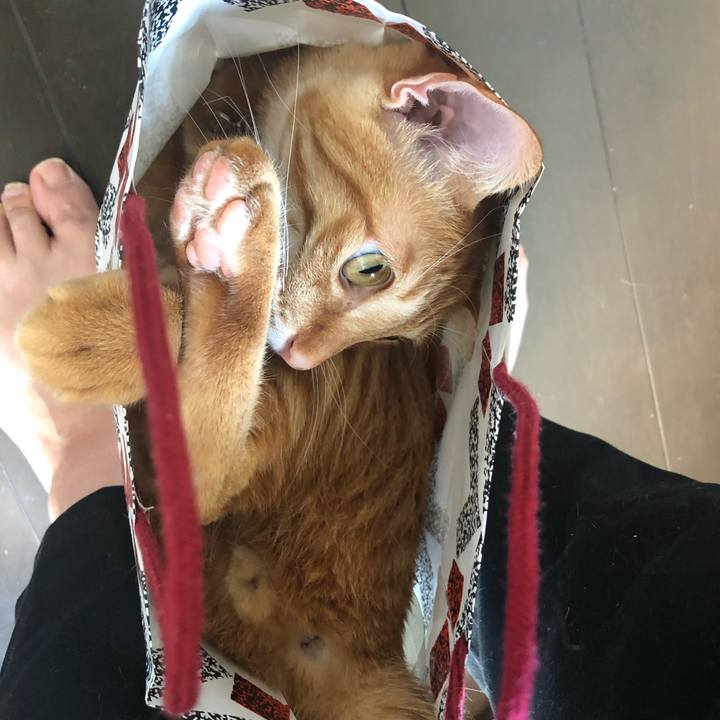 7054b4c4 9aef 47af 9853 0d7c0cd25904 1635121330003