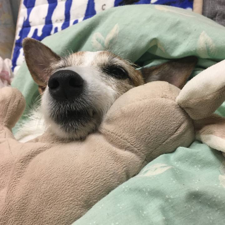 7054d016 f6e6 4786 9f2c 05fceb79deff 1636156884919