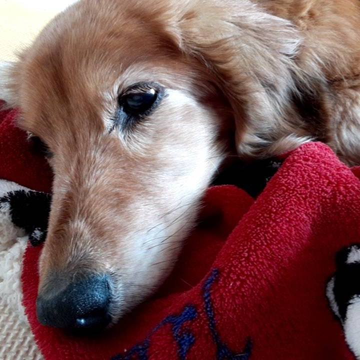 7054e222 92e1 4b5d 8d78 ce48439a03ed 1647076744917