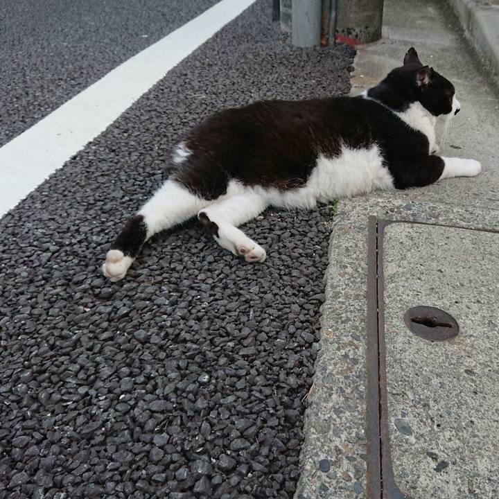 70552455 b803 448e a58d 35ff60a88abc 1529411029542