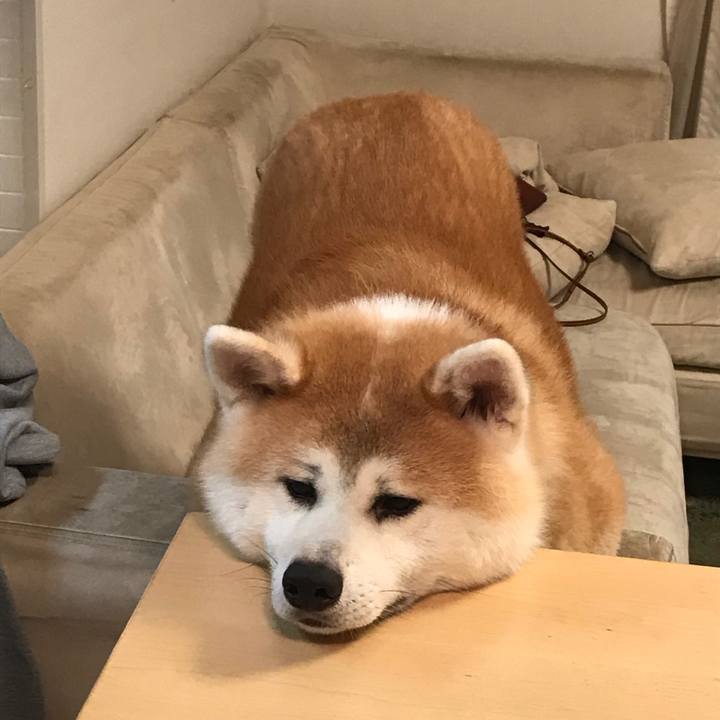 70553d8e 32cd 48b8 bebd e8bc93bab9c4 1508669770670