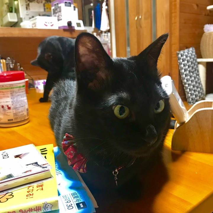 70555ed3 5fdf 4757 8716 a04ec2c5ad60 1558182874166