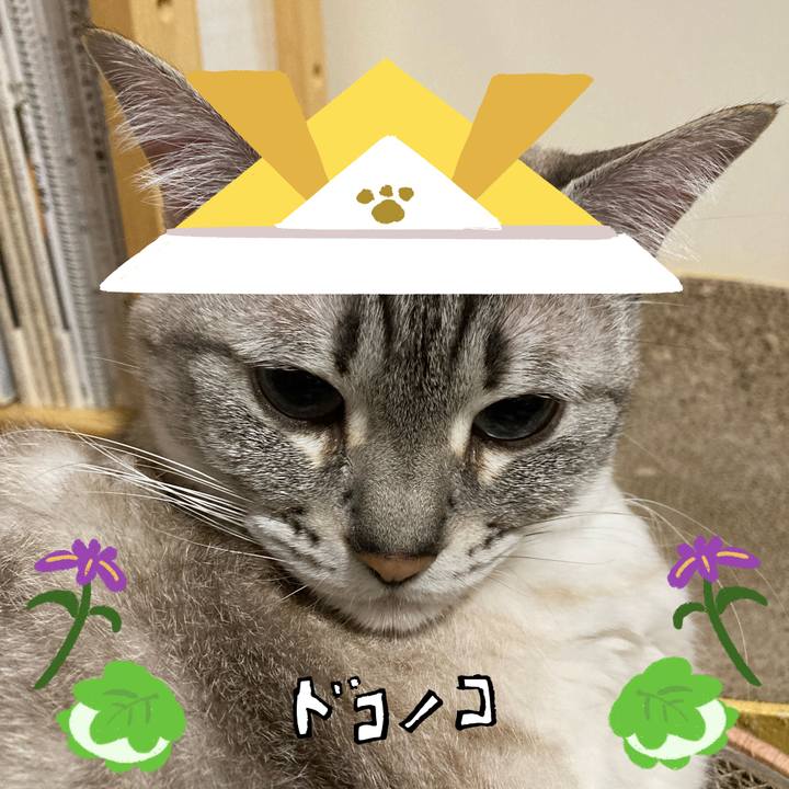 70555f6e 5ad2 4bbb a6b0 82564113cbd9 1714916763515