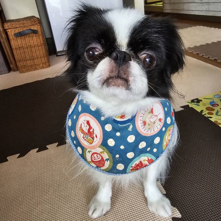 70556a6e ce46 4883 bdfd 5426cbd62b59 1696124633403